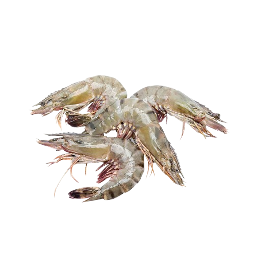 Prawns